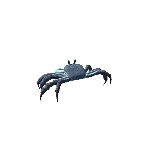 Crab (Blue)